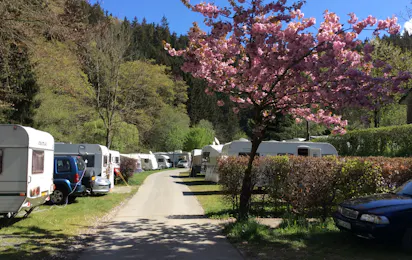Camping Perlenau