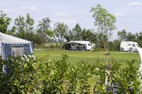 Camping Petrushoeve - Stellplätze im Grünen auf dem Campingplatz