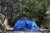 Camping Pian dei Boschi - Campingbereich für Zeltplatz unter Bäumen