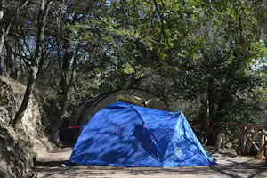 Camping Pian dei Boschi - Campingbereich für Zeltplatz unter Bäumen