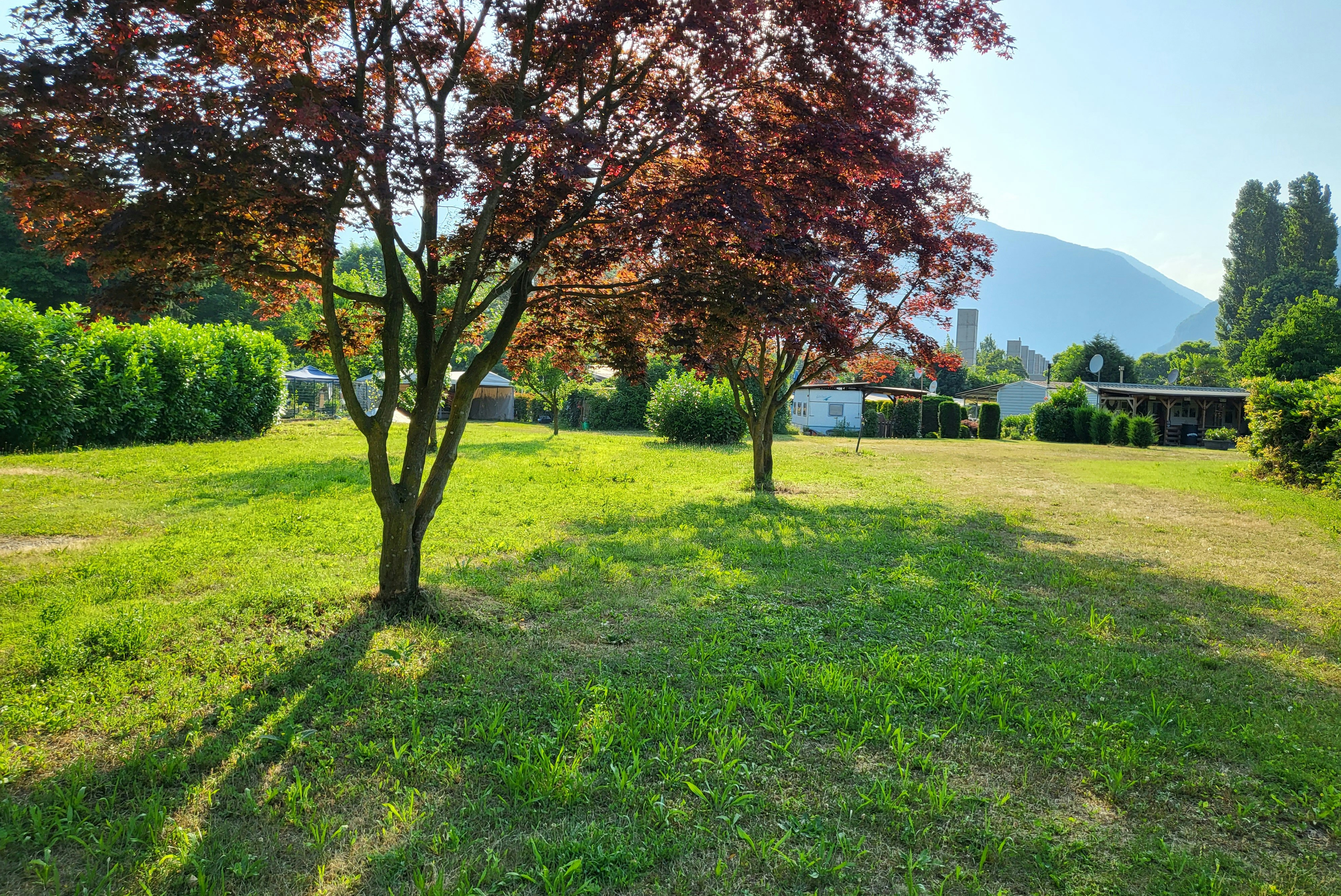 Camping Piano Grande - Standplatzwiese auf dem Campingplatz