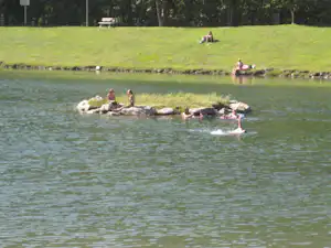 Mehrere Personen paddeln mit kleinen Booten auf einem Campingsee, im Hintergrund grünes Ufer mit Bäumen und Rasen.