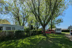Wohnwagen und Campingfahrzeuge auf einem grünen Stellplatz zwischen Bäumen, mit Rasenfläche und Hecken im Hintergrund.