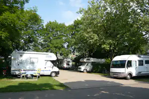 Wohnmobile auf einem Campingplatz am Weg, umgeben von hohen Bäumen und Rasenflächen.