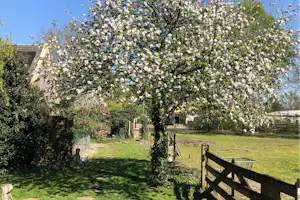 Camping Pieterom - Blühende Natur auf dem Campingplatz