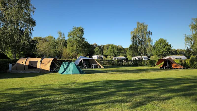 Camping Pieterom - Zeltplätze auf der Grünfläche