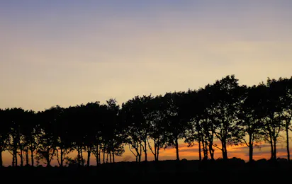 Camping Pieterom