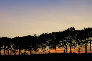 Camping Pieterom
