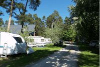 Camping Pikseke - Wohnmobilstellplatz im Schatten der Bäume auf dem Campingplatz