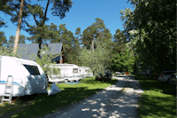 Camping Pikseke - Wohnmobilstellplatz im Schatten der Bäume auf dem Campingplatz