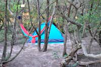 Camping Pilone - Ein Zelt auf einem Stellplatz unter Bäumen, zwischen denen eine Hängematte aufgespannt ist