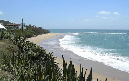 Camping Pinar San José