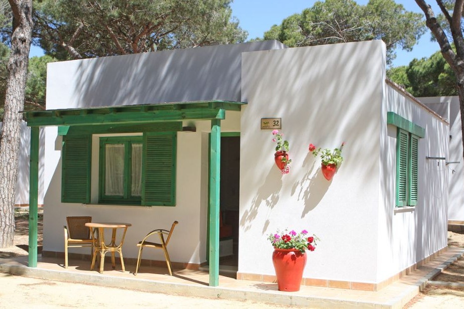 Camping Pinar San José