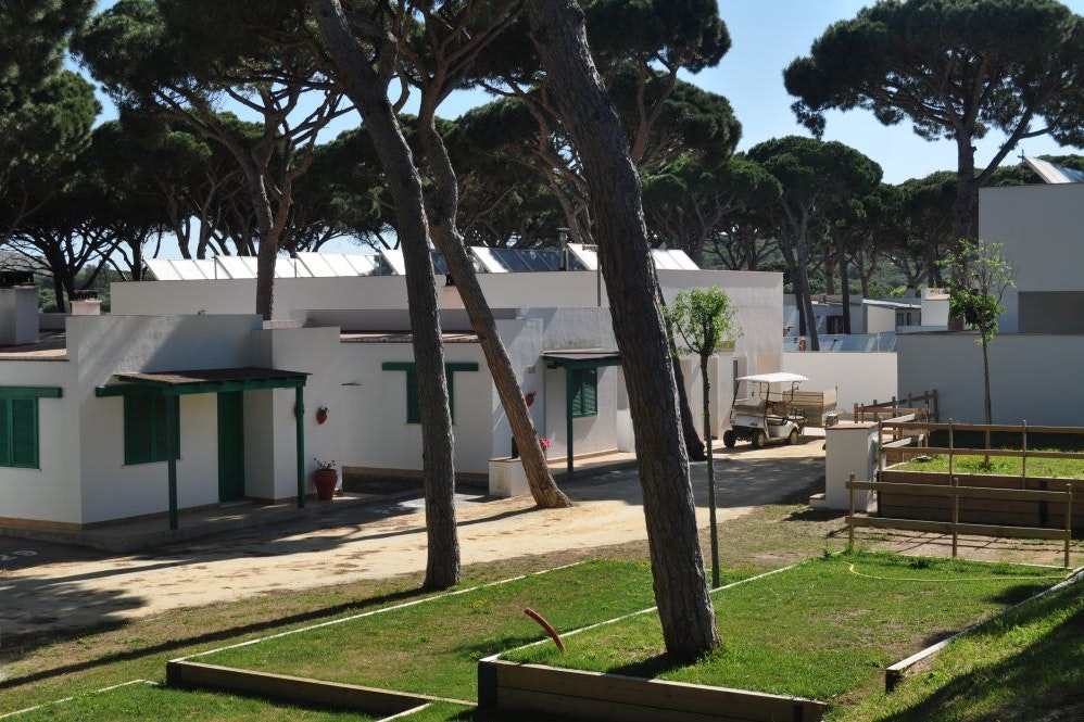 Camping Pinar San José