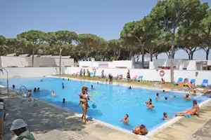 Camping Pinar San José - Pool vom Campingplatz mit Liegestühlen in der Sonne