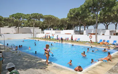 Camping Pinar San José