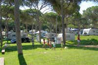 Camping Pinar San José - Stellplätze für Wohnwagen auf dem Campingplatz