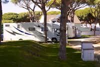 Camping Pinar San José - Wohnwagen- und Wohnmobilstellplatz unter Bäumen auf dem Campingplatz