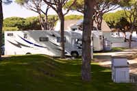 Camping Pinar San José - Wohnwagen- und Wohnmobilstellplatz unter Bäumen auf dem Campingplatz