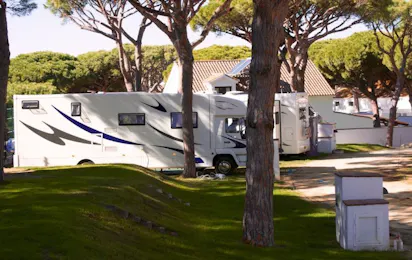 Camping Pinar San José