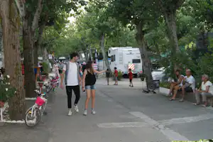 Campingallee mit Wohnmobilen, Fahrrad am Wegesrand und Familien, die zwischen Bäumen entlanggehen.