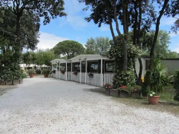 Camping Pineta (Calambrone)