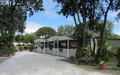 Camping Pineta (Calambrone)