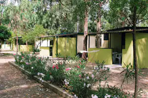 Grüner Campingbungalow mit Terrasse, Tisch und Stühlen im Schatten von Bäumen, umgeben von Blumenbeeten.