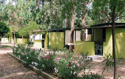Pineta di Sibari