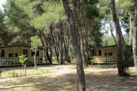 Camping Pineta di Sibari - Mobilheime mit überdachten Veranden zwischen Bäumen