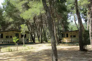 Campingbungalows im Wald mit vielen Bäumen, Rasenfläche und Sitzgelegenheiten vor den Eingängen.