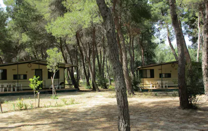 Pineta di Sibari