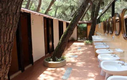 Camping Pineta (Marina di Camerota)