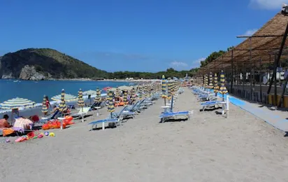 Camping Pineta (Marina di Camerota)