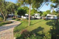 Camping Pineto Beach  -  Wohnwagen- und Zeltstellplatz vom Campingplatz auf grüner Wiese