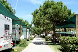 Camping Pineto Beach - Gehweg entlang der überdachten Stellplätze auf dem Campingplatz im Grünen