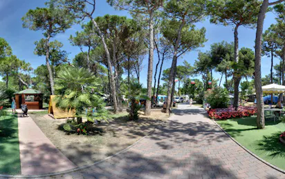 Camping Village Pino Mare