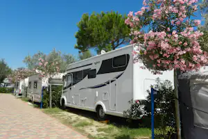 Camping Pino Mare - Stellplaetze auf der Wiese