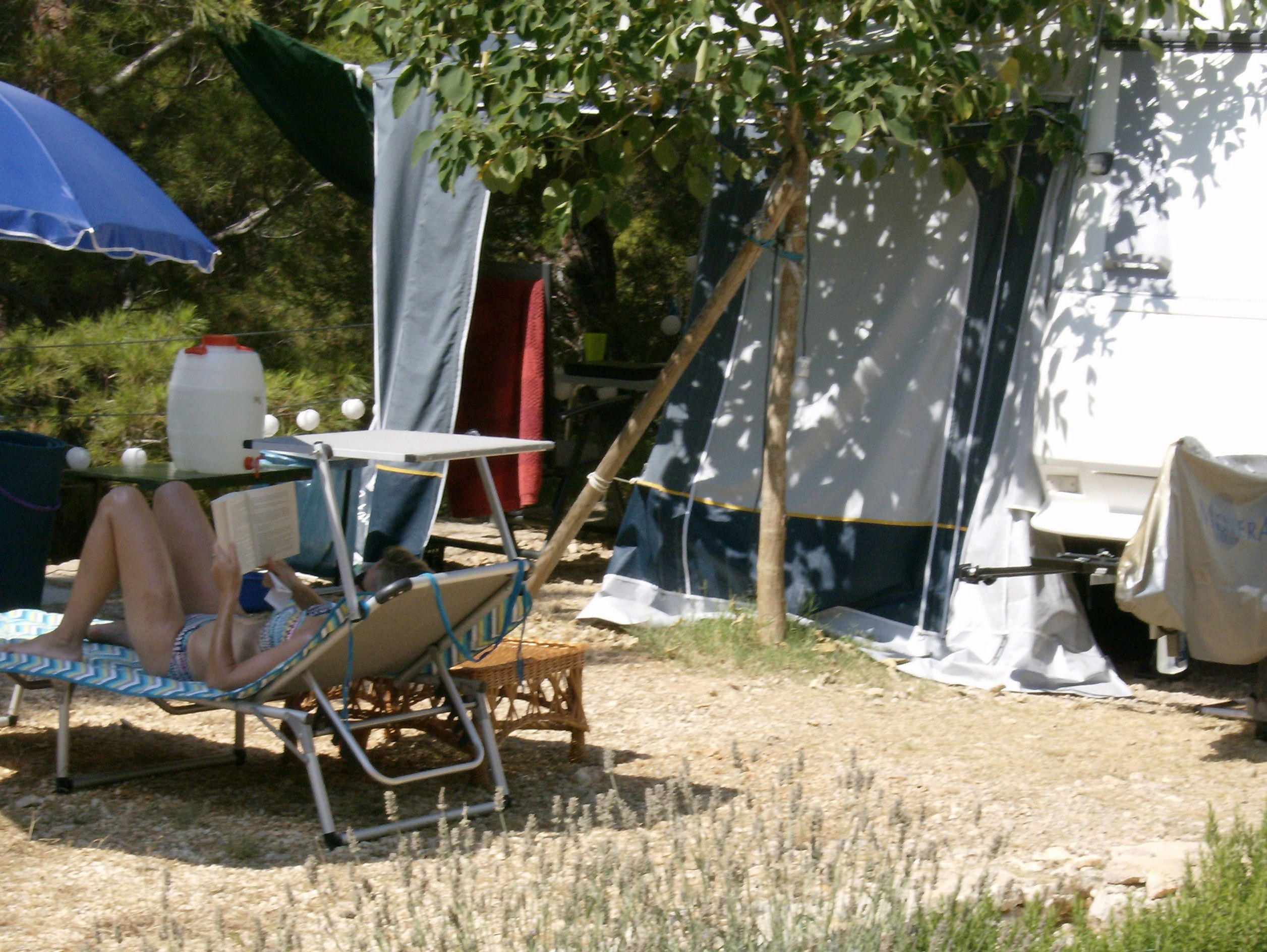 Camping Pinus
