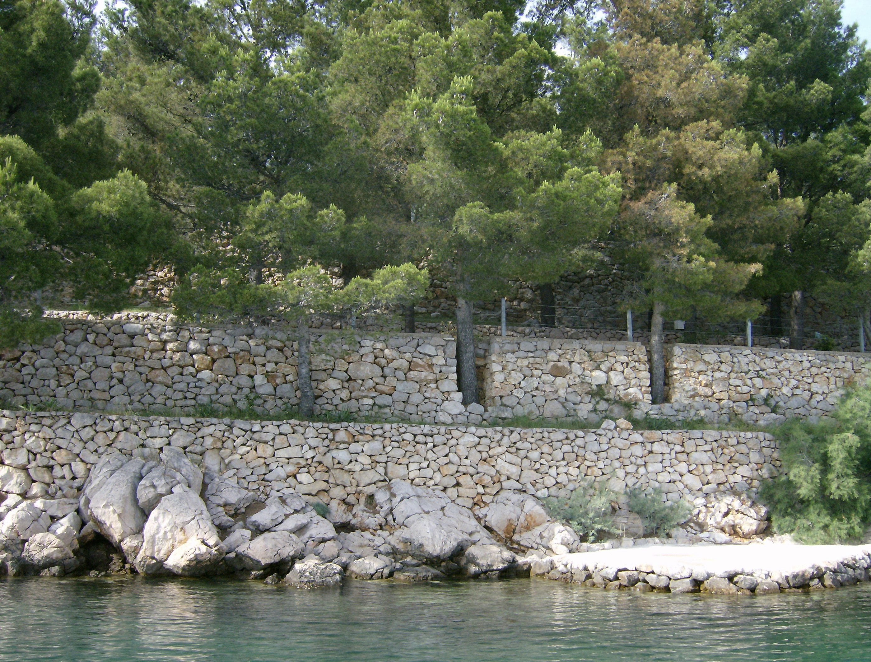 Camping Pinus