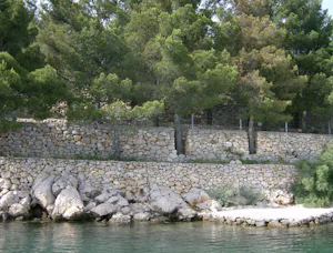 Camping Pinus