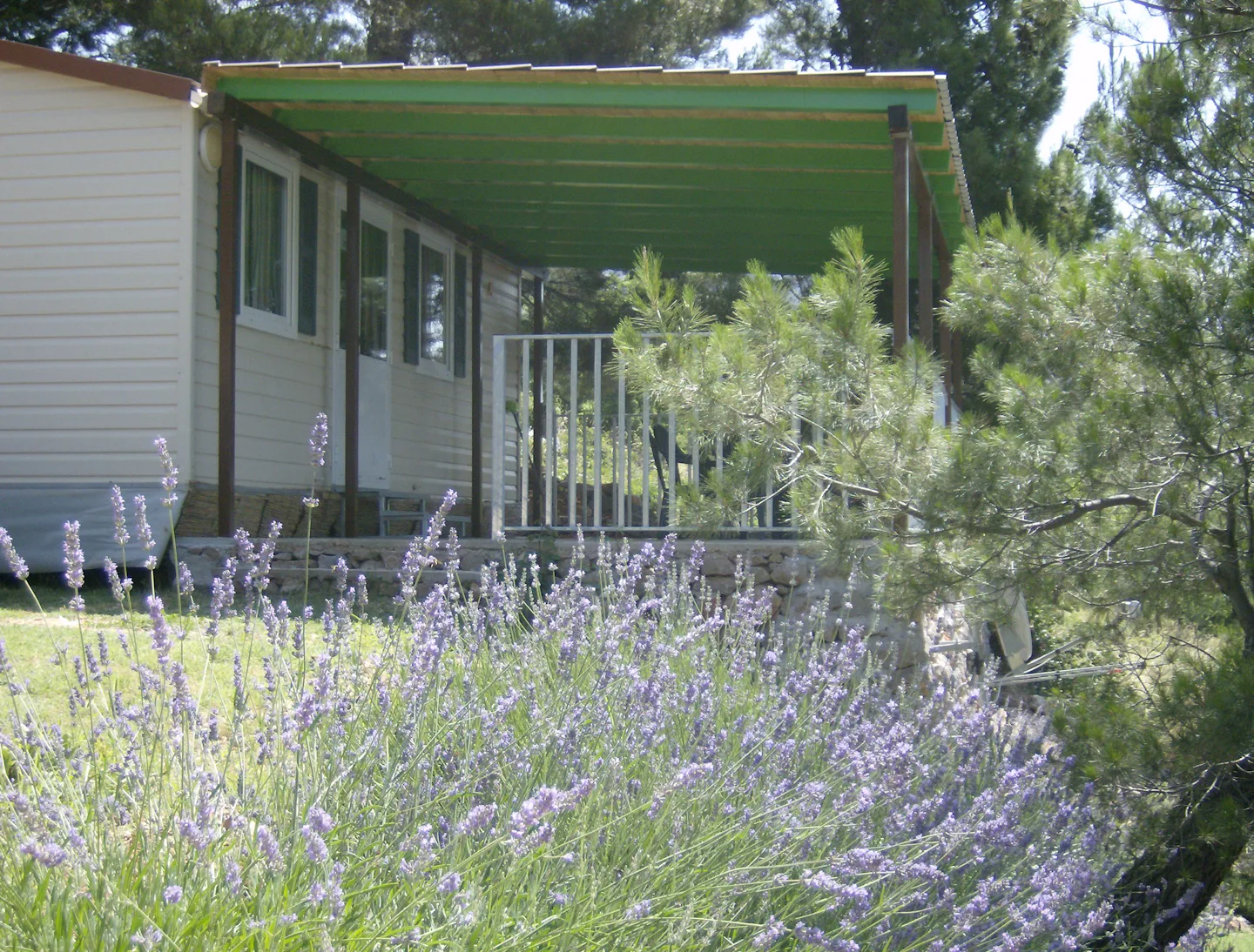 Camping Pinus