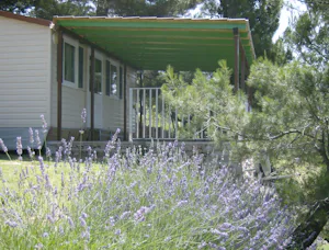 Camping Pinus