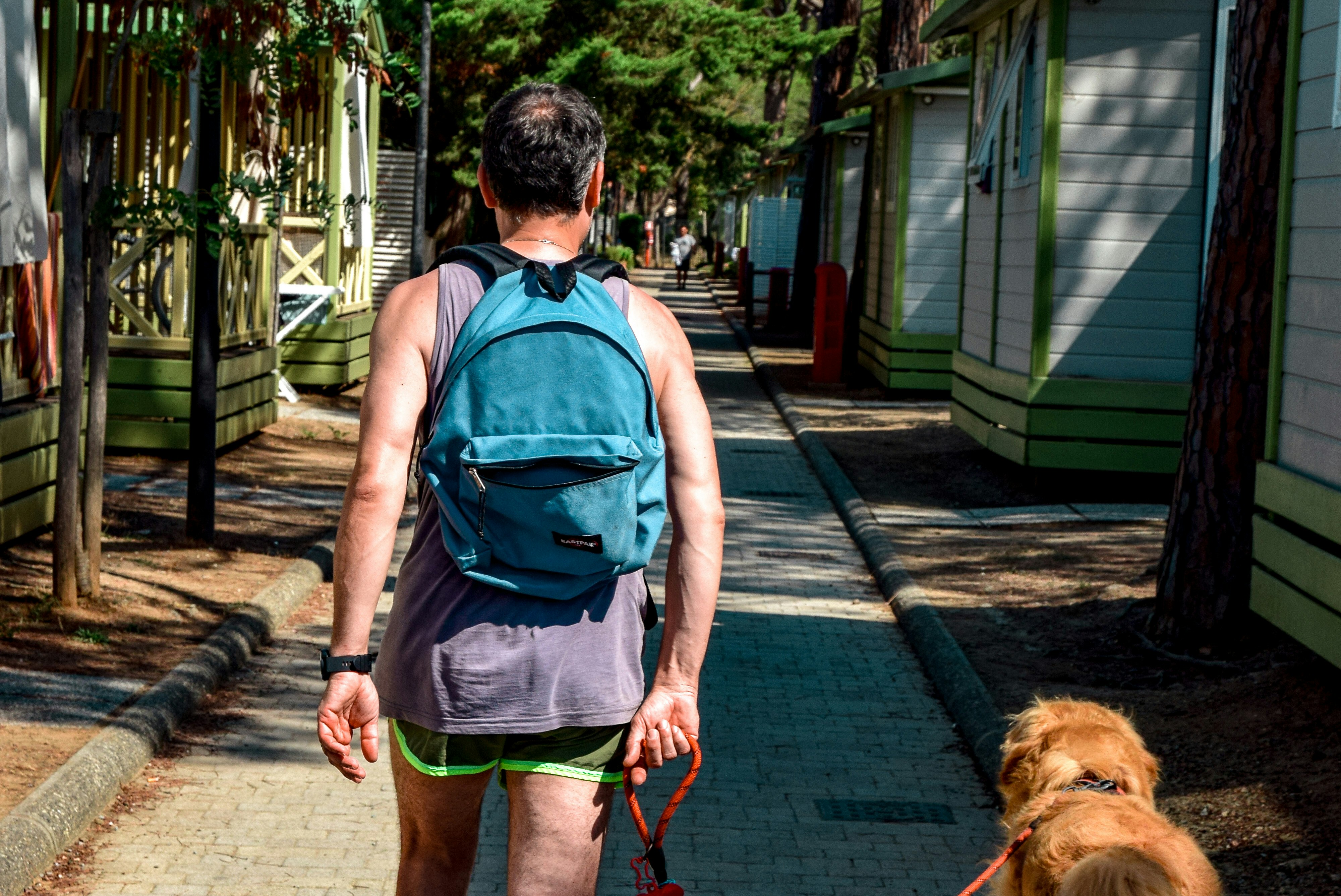 Camping Piper - Camper mit Hund auf dem Campingplatz