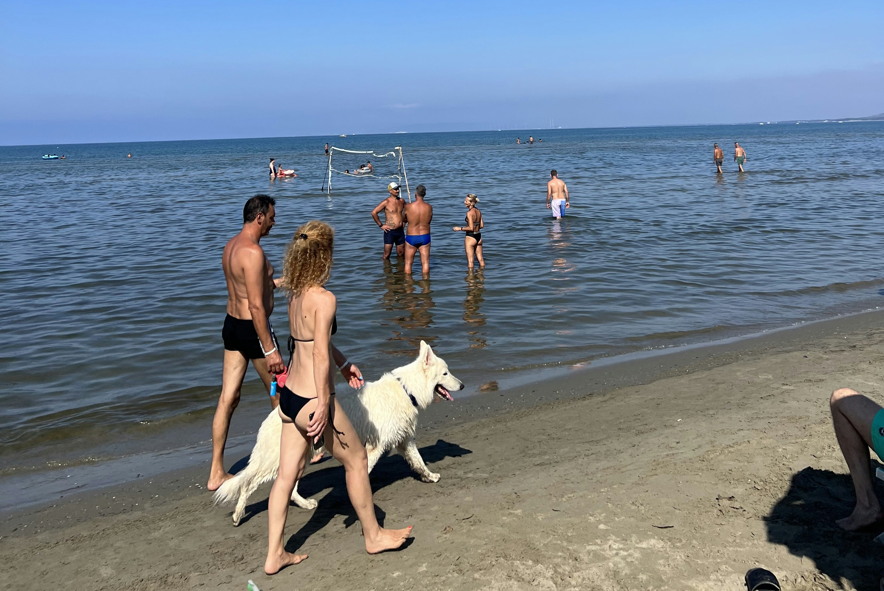 Camping Piper - Camper mit Hund gehen am Strand spazieren