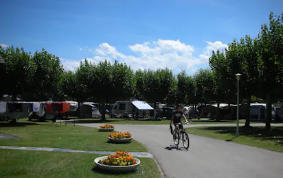 Camping Pirineus