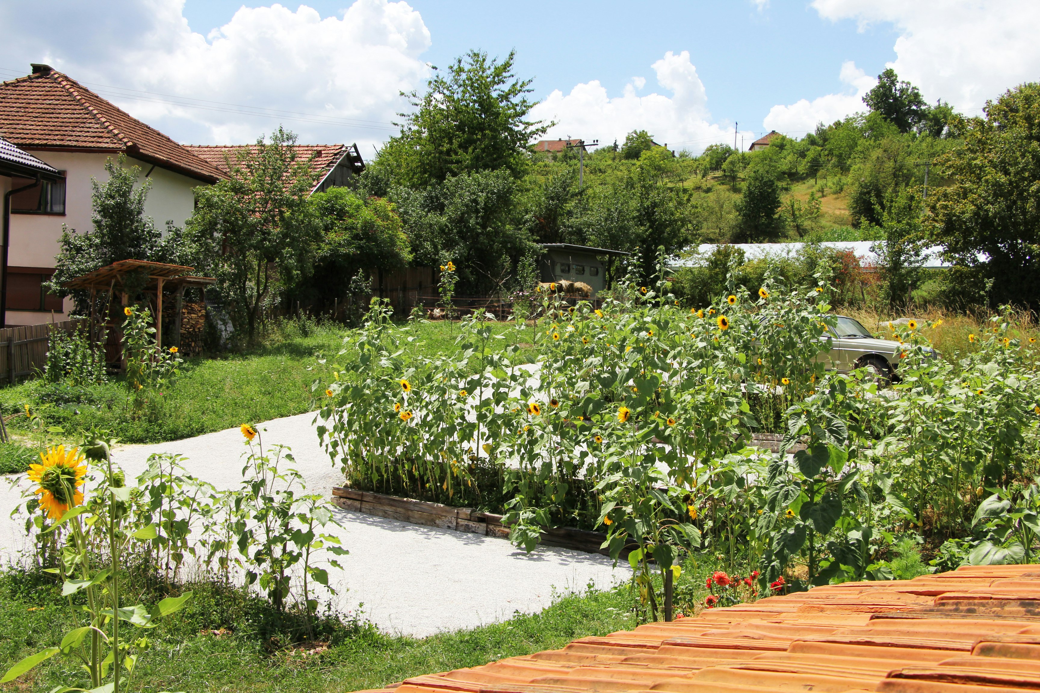 Camping Pirol - Standplätze auf dem Campingplatz
