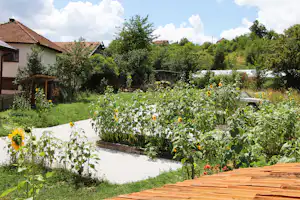Camping Pirol - Standplätze auf dem Campingplatz