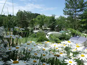 Camping Plage de Goulien