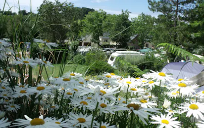 Camping Plage de Goulien